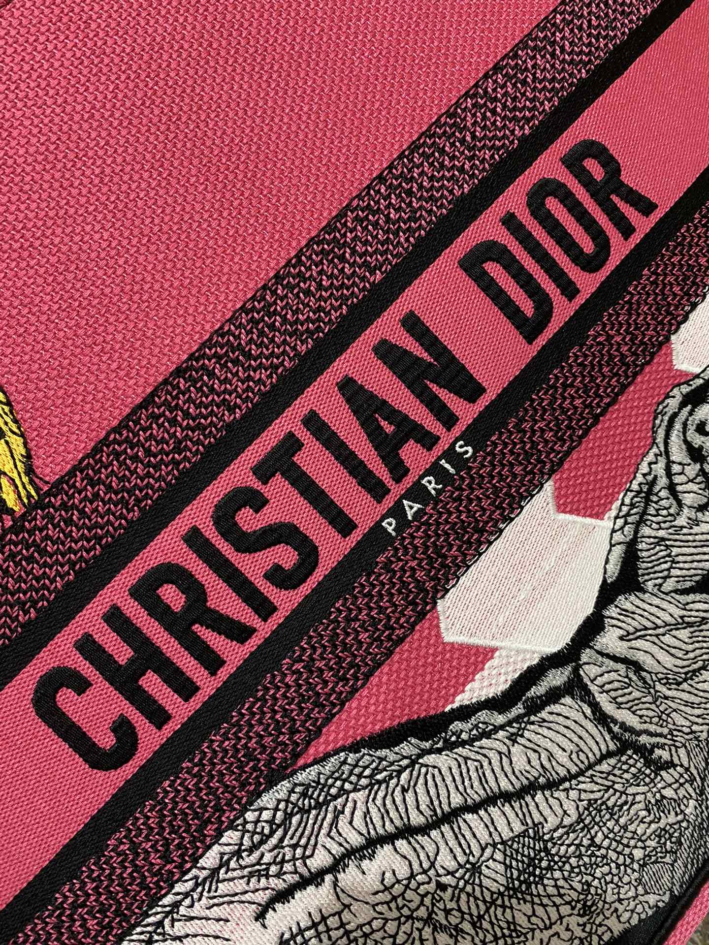 Christian Dior Medium Book Tote 42cm