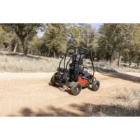 Coleman Powersports GK100 One-Seater Go Karts.