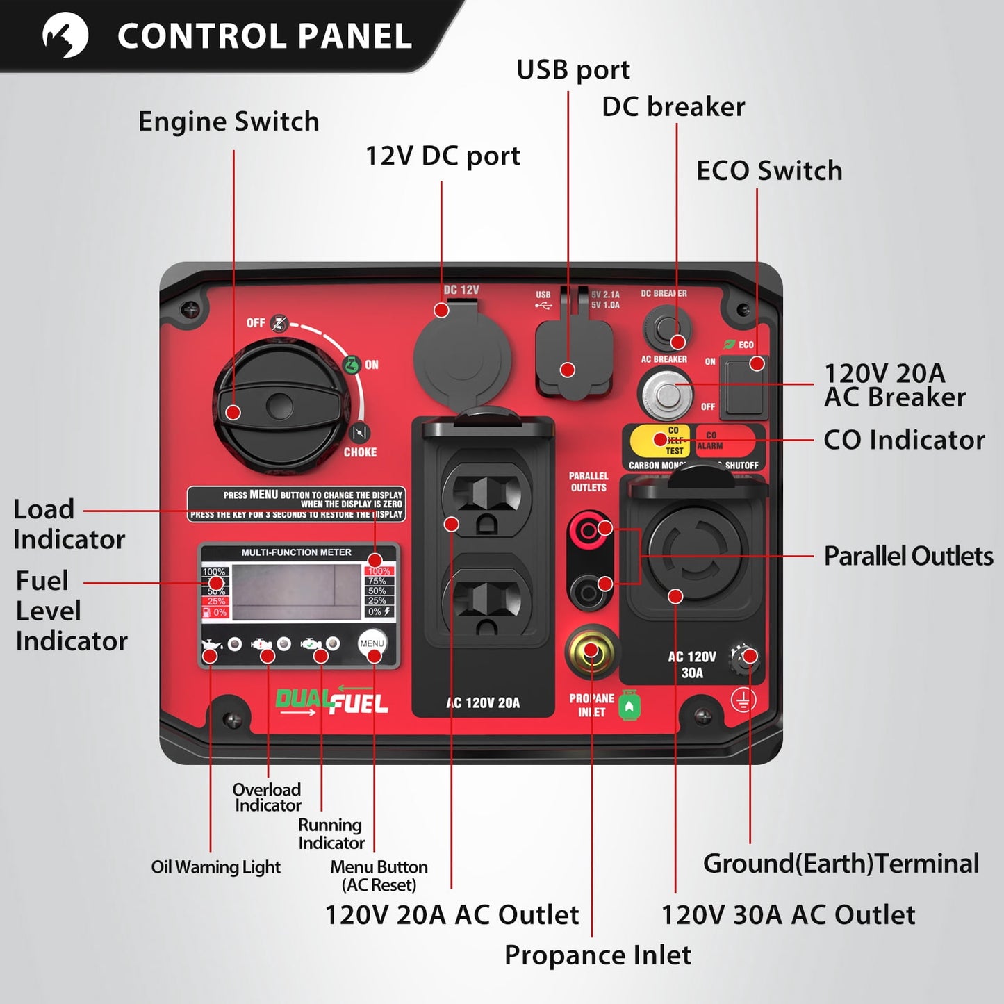 PowerSmart Portable Equipment 3800-Watt Dual Fuel Manual Start  with CO Detect Quiet Power Generator