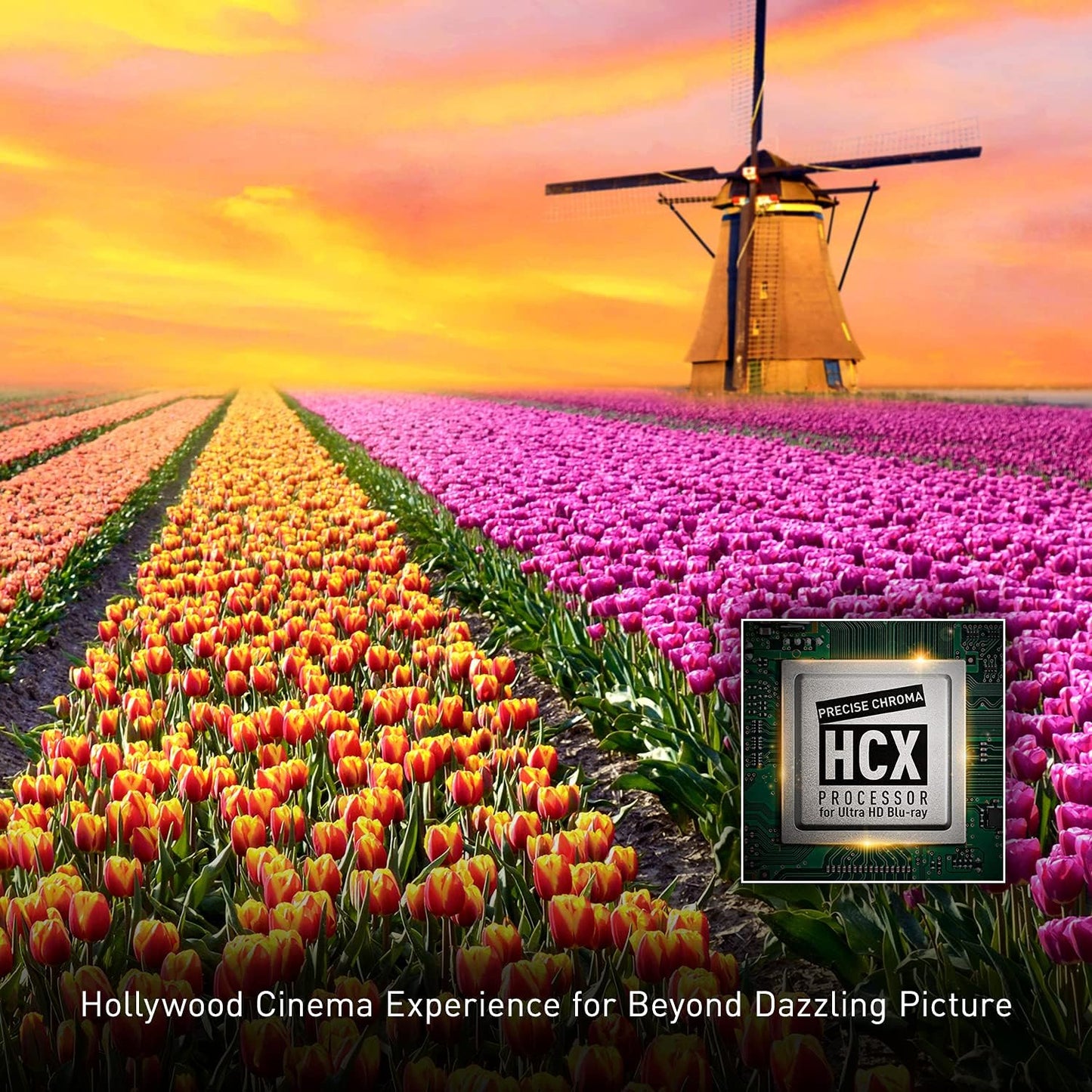 Panasonic DP-UB820-K 4K Ultra HD Streaming Blu-ray Player