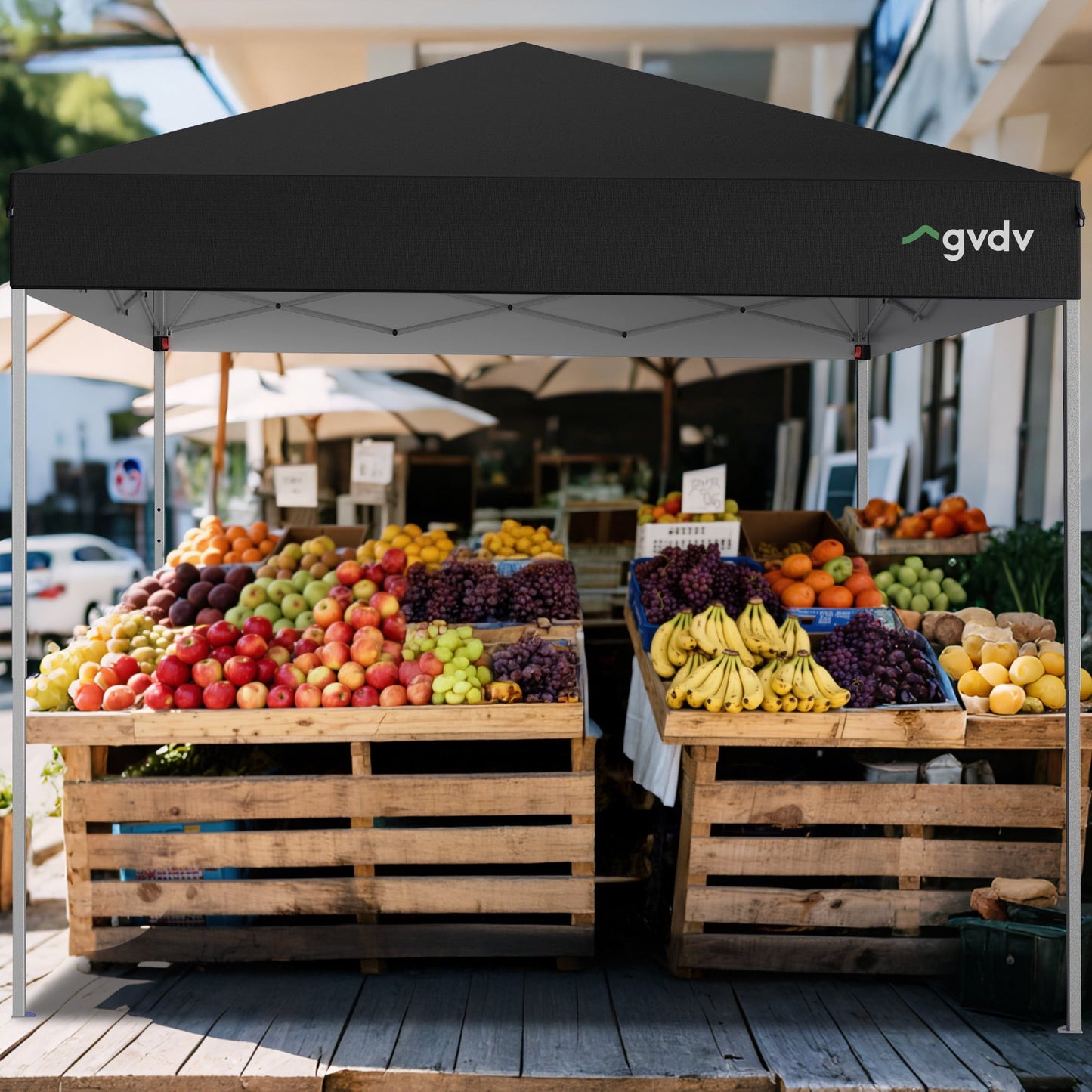 GVDV Outdoor Pop up Canopy 10'x10' Tent Camping Sun Shelter-Series Party Tent (Black)