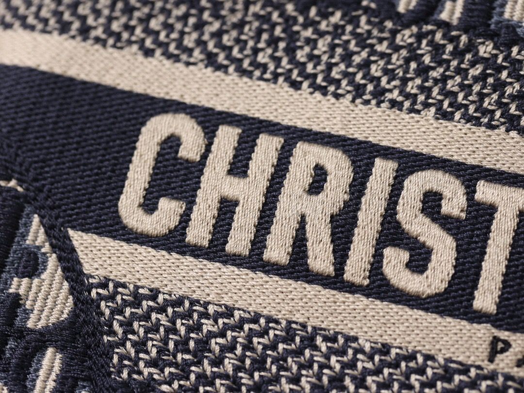 Christian Dior Logo Saddle Bag 25cm Oblique Embroidered Canvas Spring/Summer Collection Black