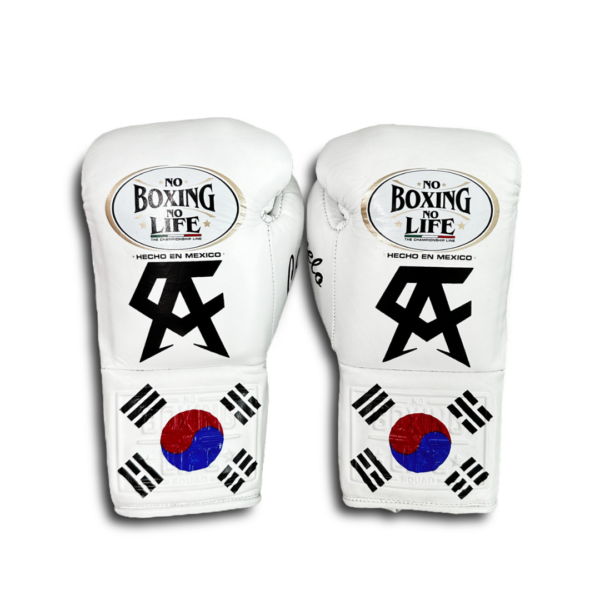 No Boxing No Life Glove -GlovesMate USA, NBNL Boxing Gloves, Leather Gloves