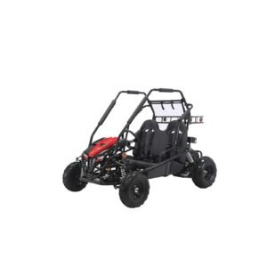 Coleman Powersports GK200 196cc Gas Powered Dual Seat Go-Karts.