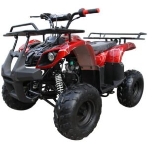 Coolster 3125R Mid-Size Deluxe Utility Quad - 120cc, Automatic with Reverse, Electric Start