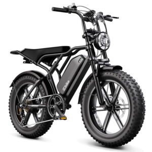 TST Electric Bike for Adults, 750W Peak 1500W Motor, 20"x4" Fat Tire, E Mountain Bike, 48V/15AH UL2849