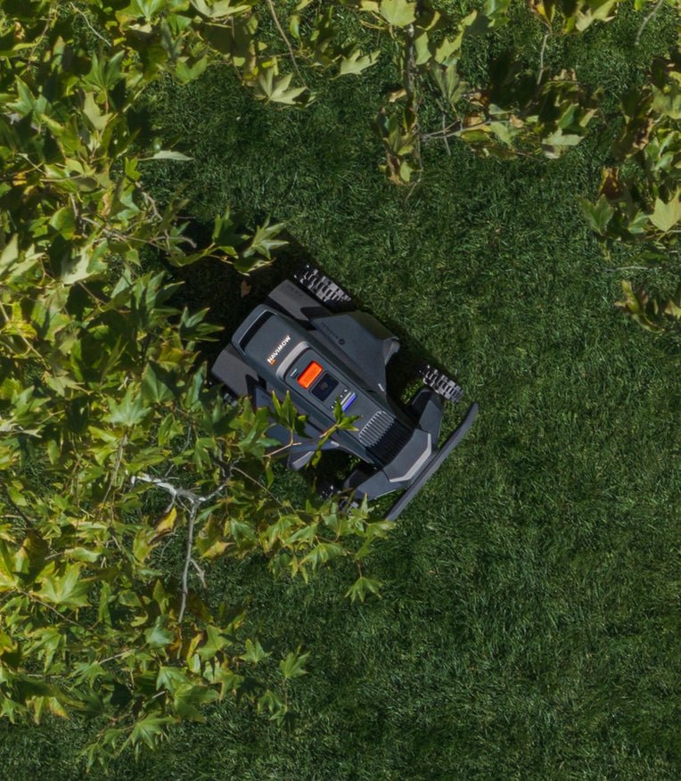 Navimow i Series robot lawn mower mows the green grass.