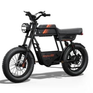Riding Times GT33 48V/27Ah 1350W All Terrain Cafe Racer Cargo Electric Bike