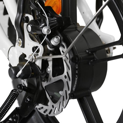 Dual Disc Brakes