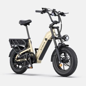ENGWE L16 48V 18Ah/23Ah 1500W Electric Bike