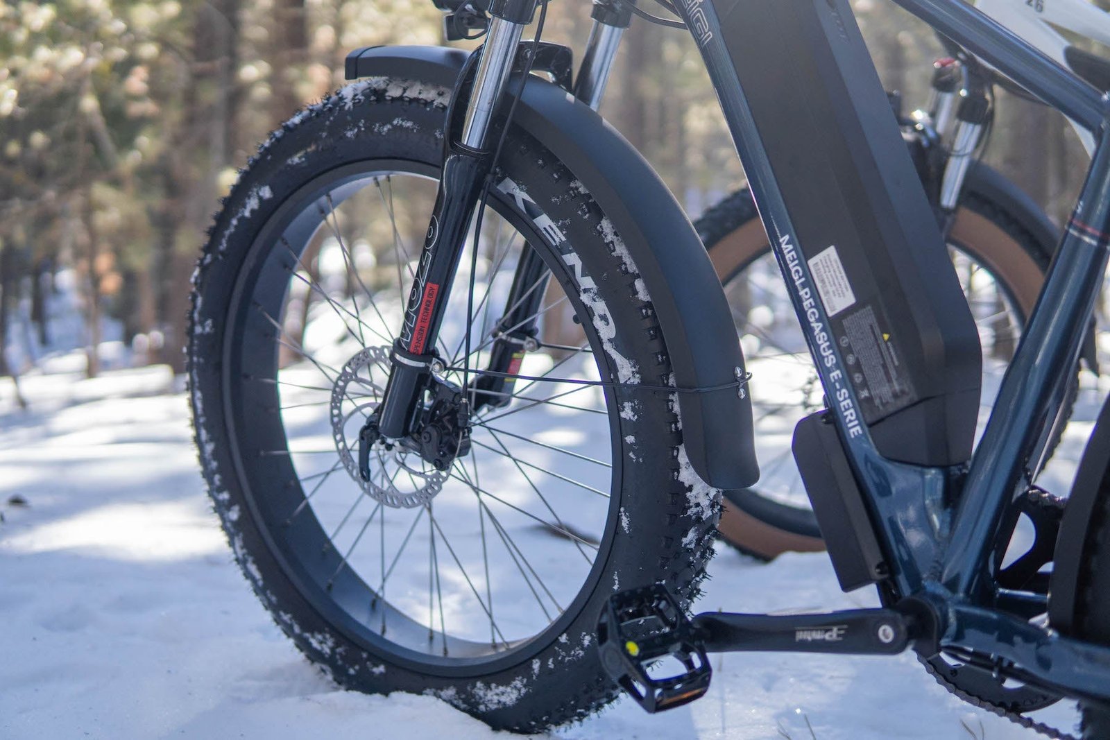 DWMEIGI Pegasus 48V/16Ah 750W Fat Tire Electric Bike - Image 26