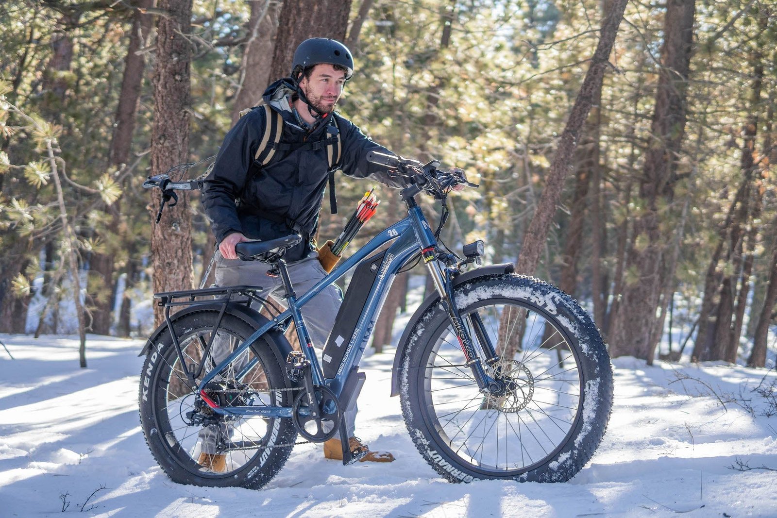 DWMEIGI Pegasus 48V/16Ah 750W Fat Tire Electric Bike - Image 28
