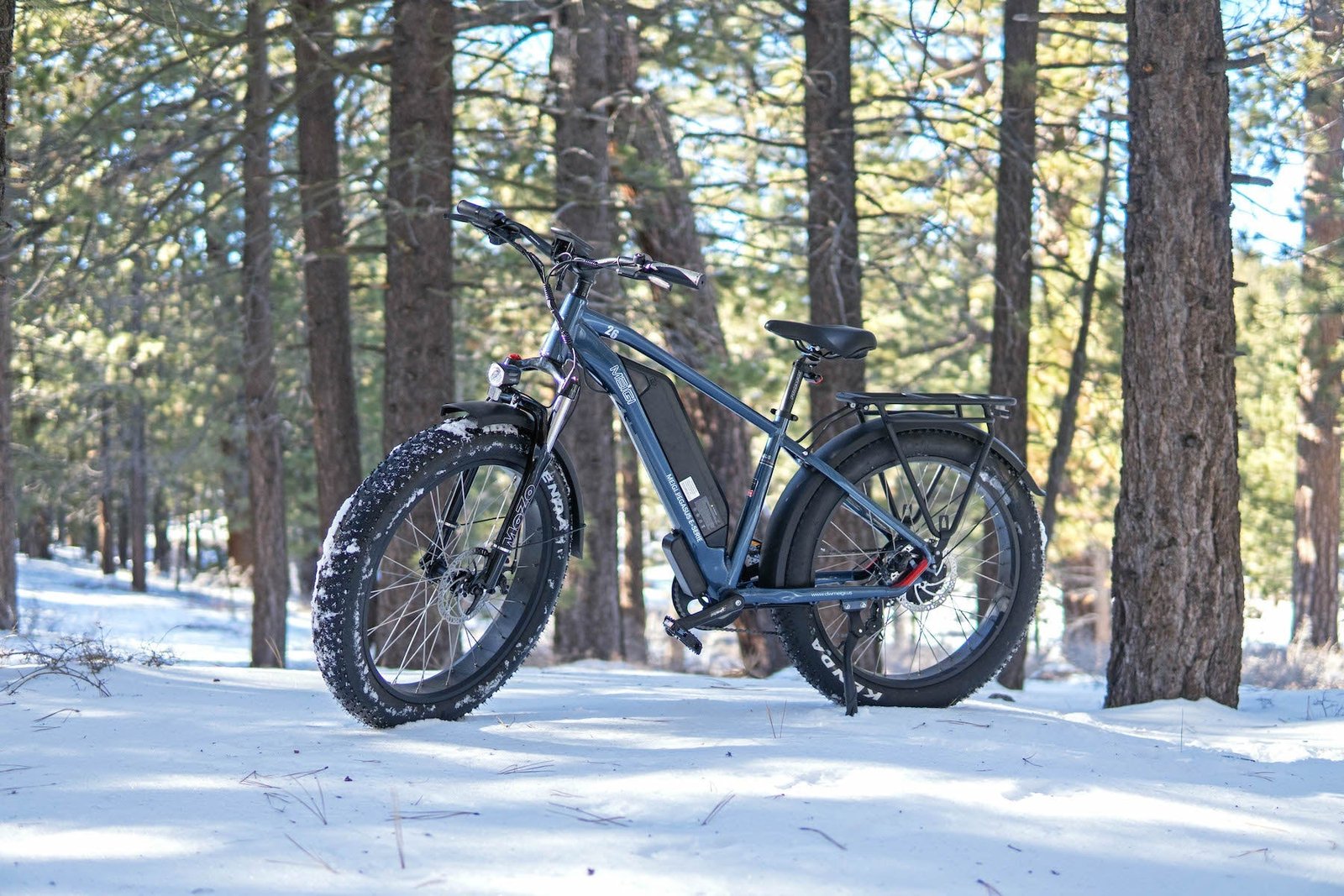 DWMEIGI Pegasus 48V/16Ah 750W Fat Tire Electric Bike - Image 20