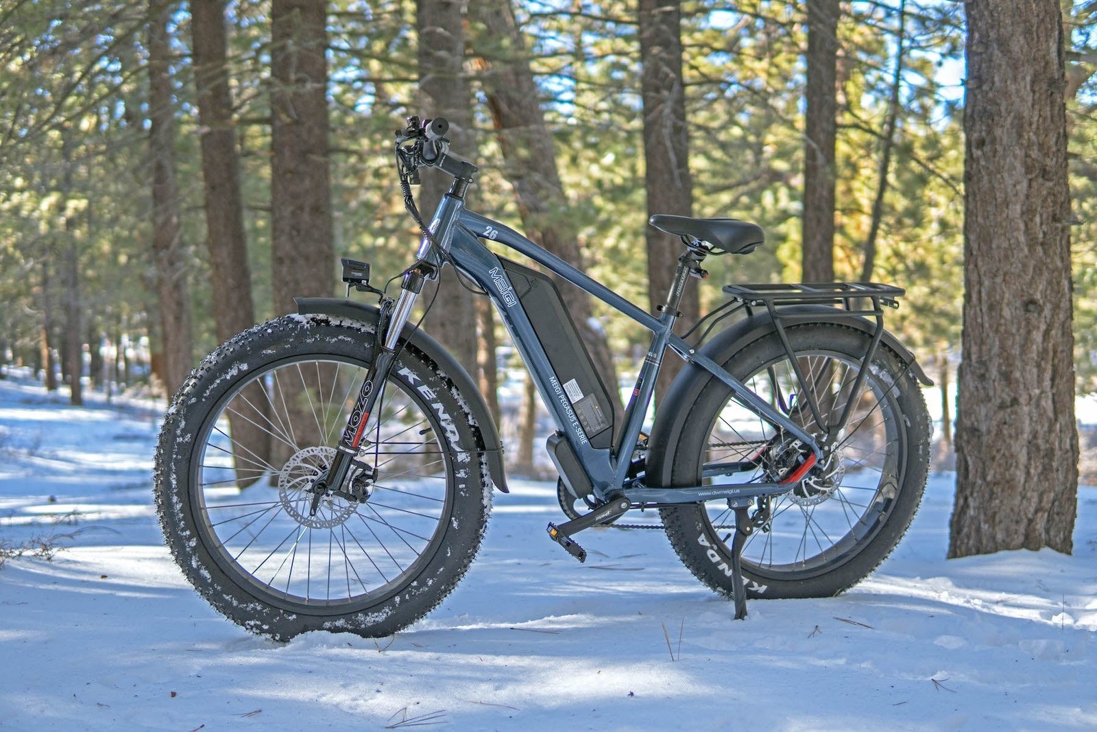 DWMEIGI Pegasus 48V/16Ah 750W Fat Tire Electric Bike - Image 21
