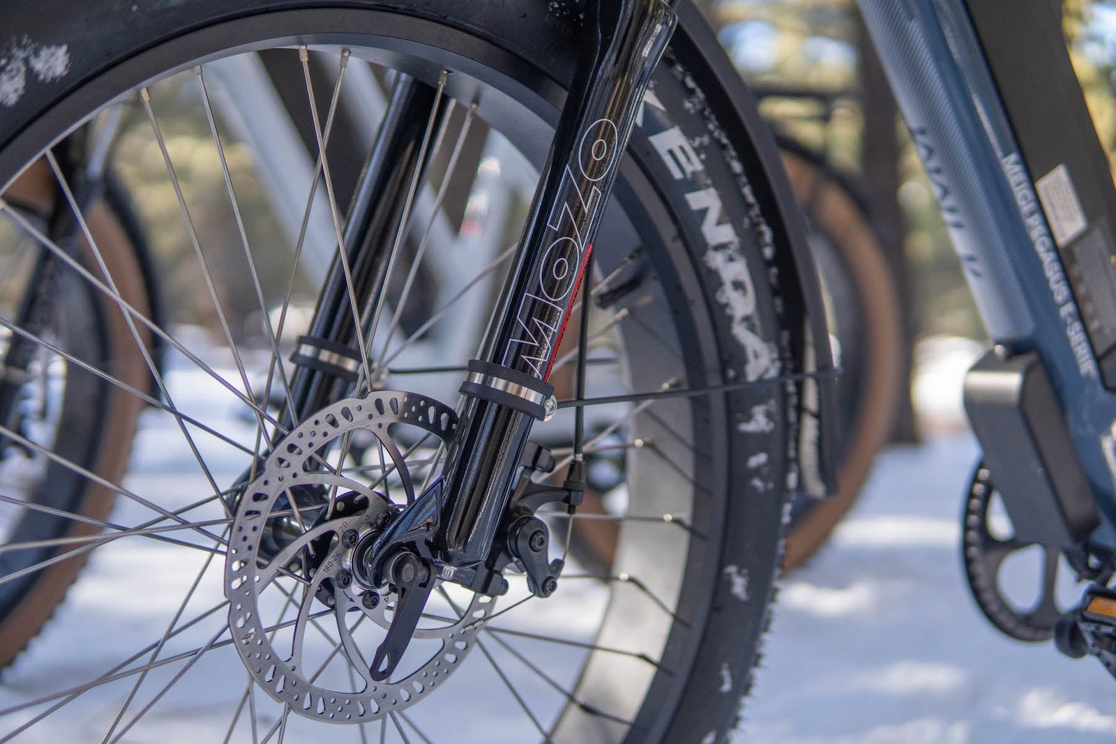 DWMEIGI Pegasus 48V/16Ah 750W Fat Tire Electric Bike - Image 22