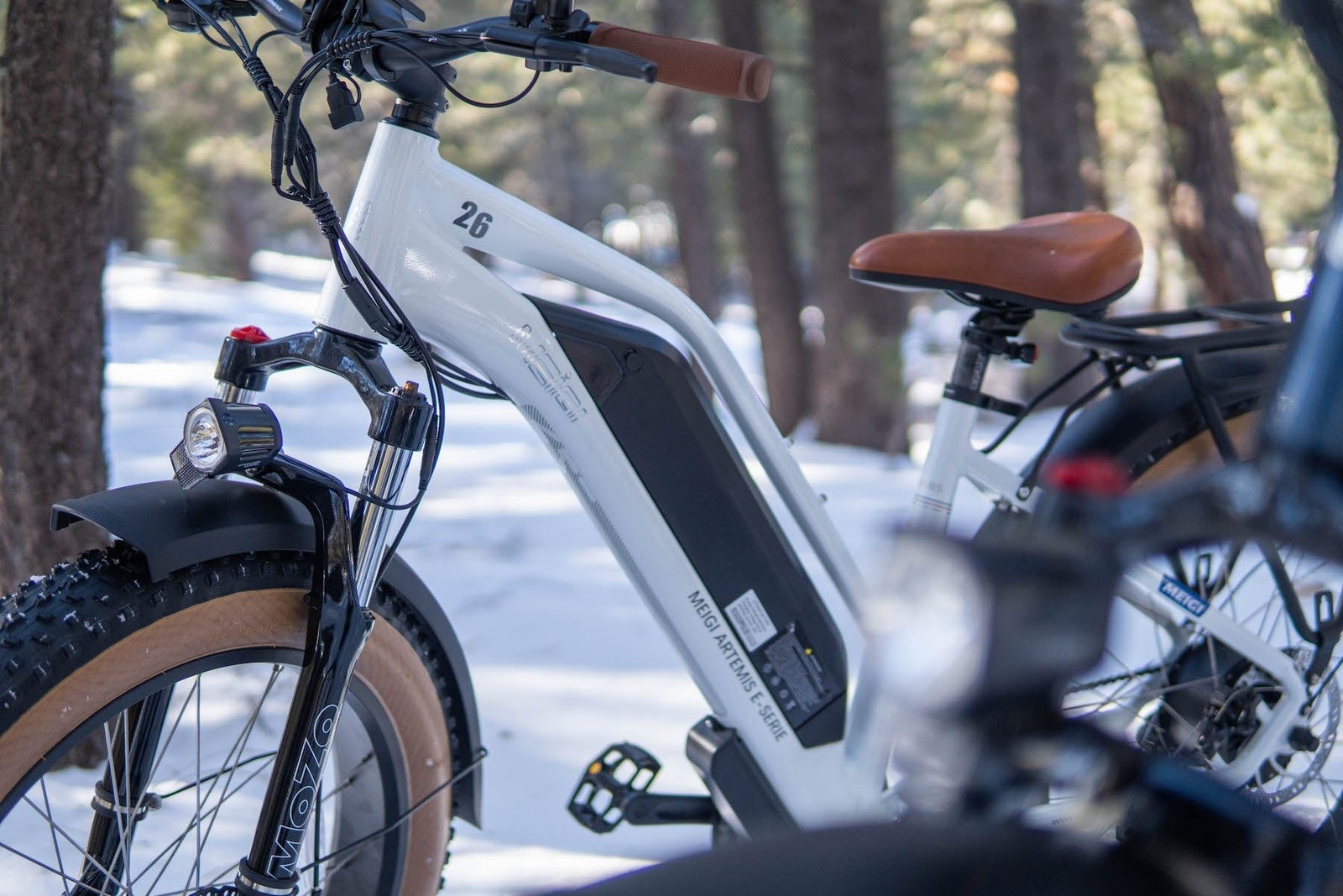 DWMEIGI Artemis 48V/16Ah 750W Fat Tire Electric Bike - Image 19