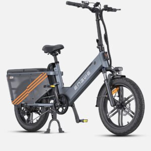 ENGWE LE20 48V/19.2Ah 750W Cargo Electric Bike