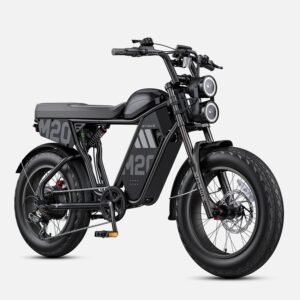 ENGWE M20 3.0 60V 20Ah/40Ah 3300W Electric Bike