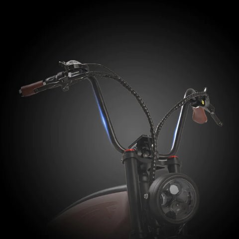 Unique Handlebar Style