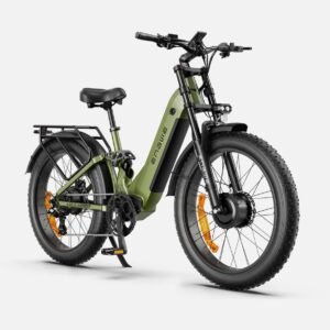ENGWE E26 3.0 48V/20Ah 2000W Electric Bike