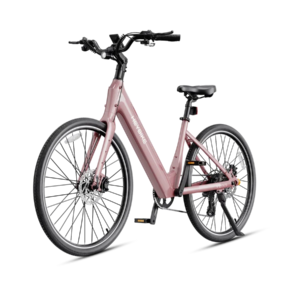 Heybike Venus 48V/14.2Ah 750W Electric Bike
