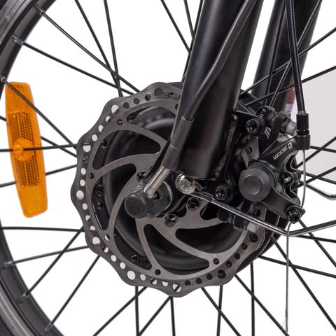 Dual Disc Brakes