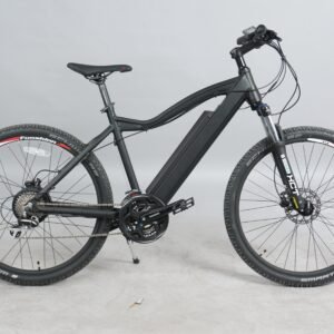 DWMEIGI DW7610 36V/10Ah 350W Electric Mountain Bike