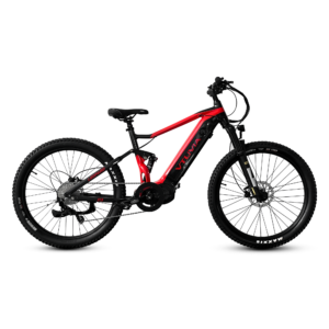 Vtuvia FMB Ebike