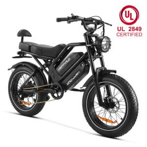 HappyRun G70 48V/26Ah 750W Electric Cargo Bike