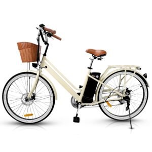 NAKTO Classic 48V/8Ah 500W Electric Bike