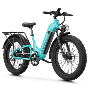 Aipas® M1 Max Hydraulic Brakes Ebike