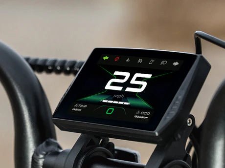 ENGWE M20 3.0 - Display