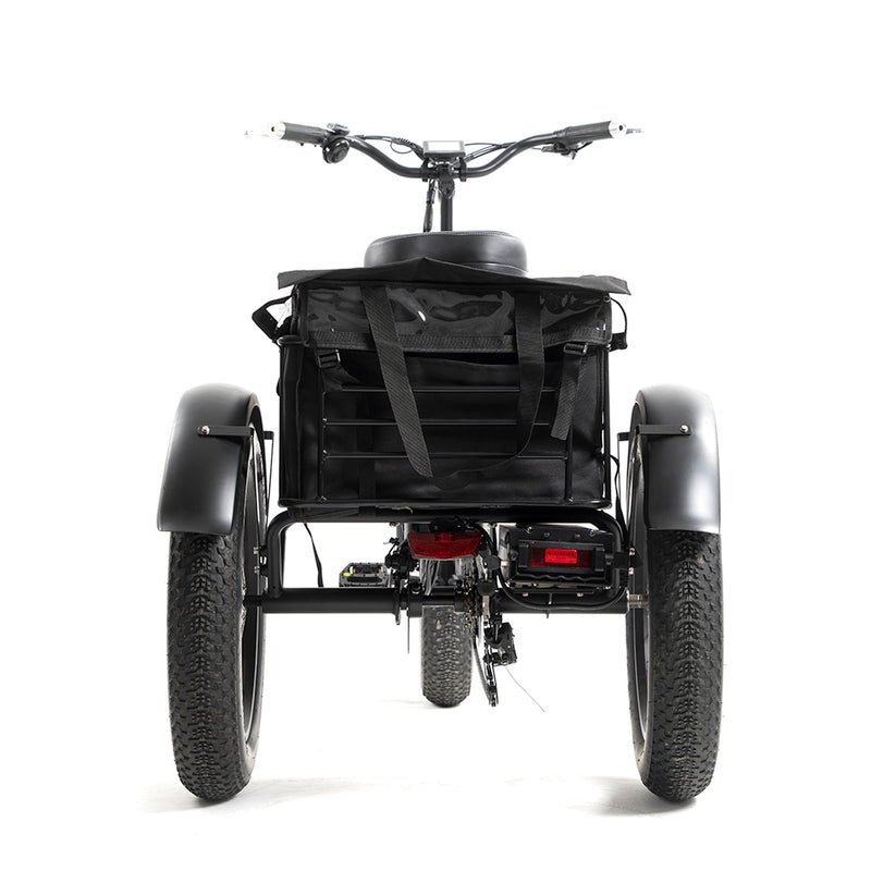 DWMEIGI Zeus MG1703 48V/18.2Ah 750W Electric Trike - Image 7