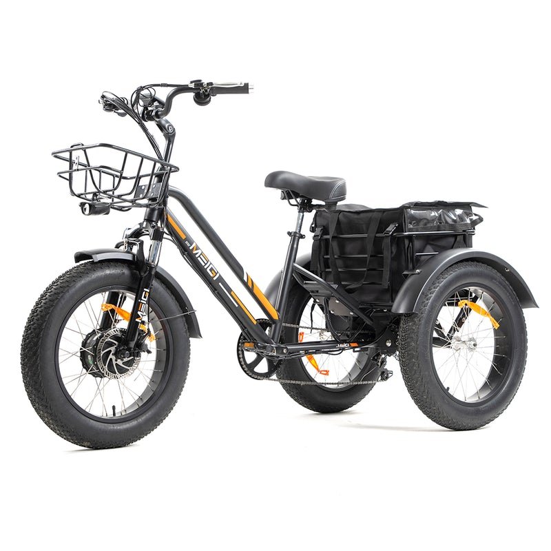 DWMEIGI Zeus MG1703 48V/18.2Ah 750W Electric Trike - Image 4