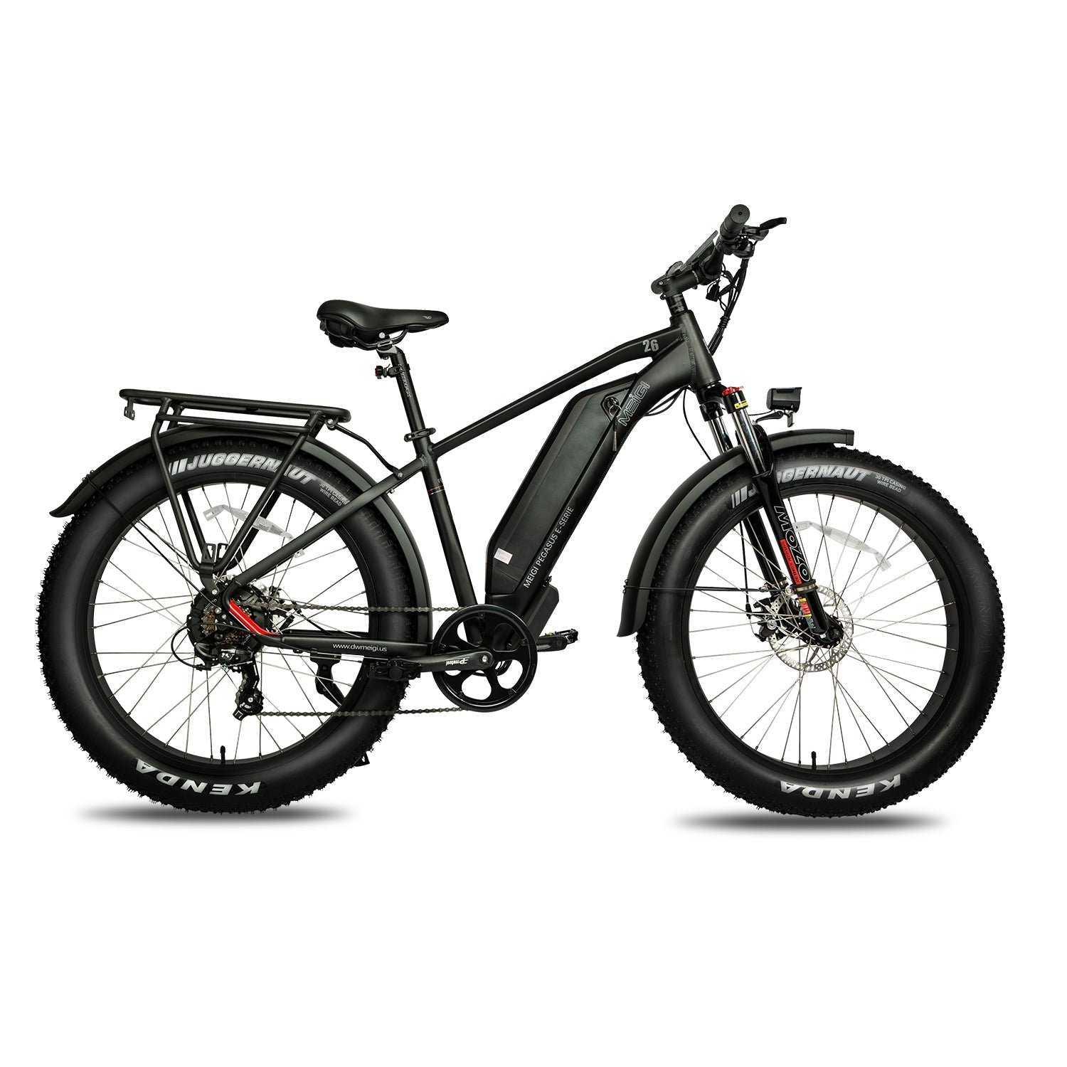 DWMEIGI Pegasus 48V/16Ah 750W Fat Tire Electric Bike - Image 2