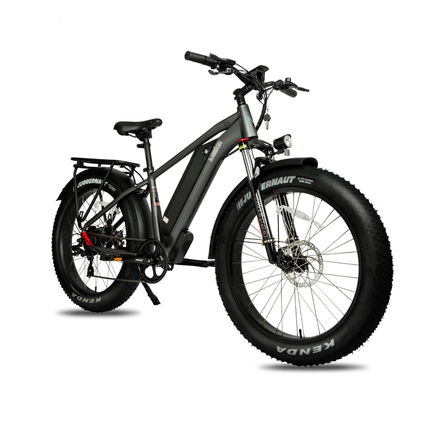 DWMEIGI Pegasus 48V/16Ah 750W Fat Tire Electric Bike - Image 5