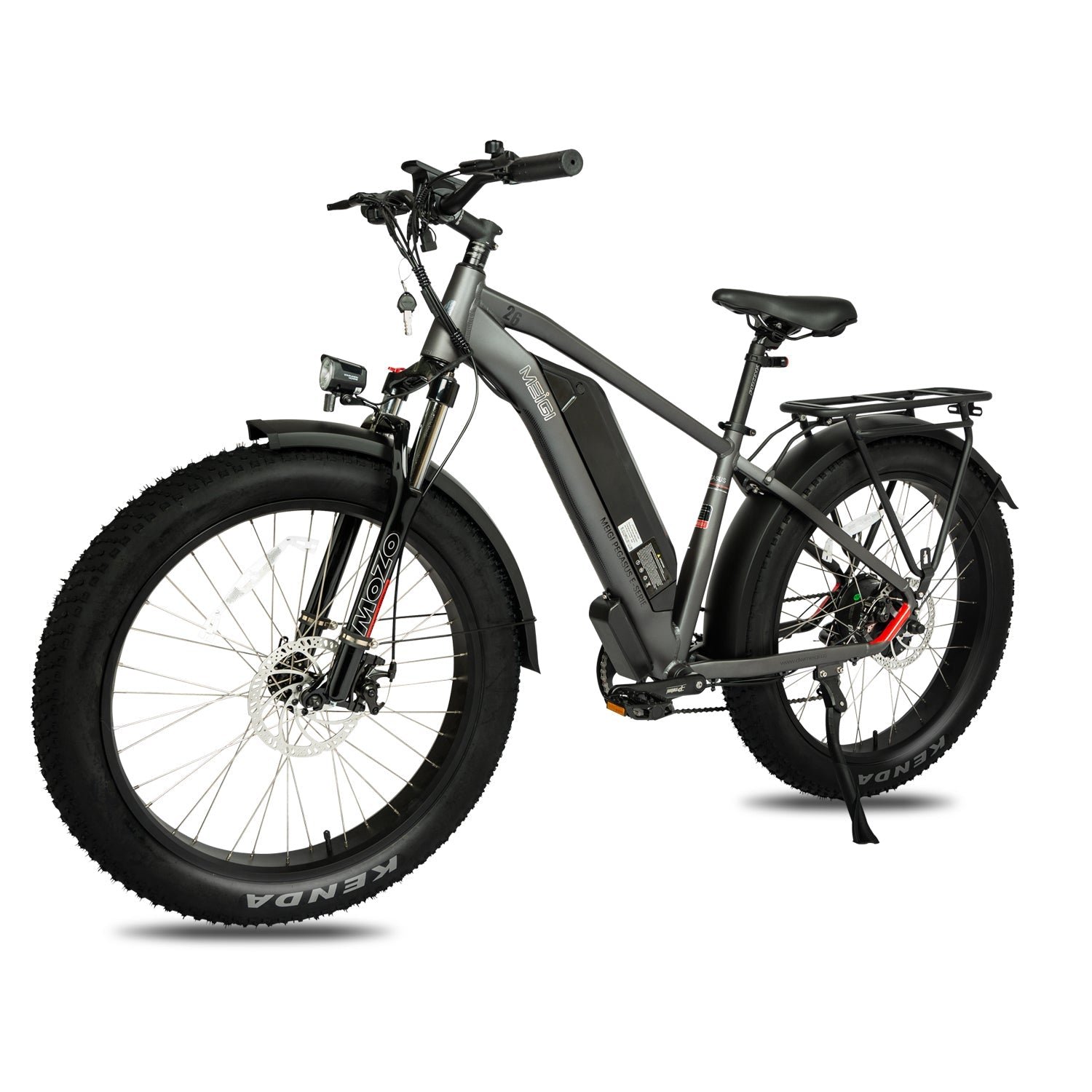 DWMEIGI Pegasus 48V/16Ah 750W Fat Tire Electric Bike - Image 8