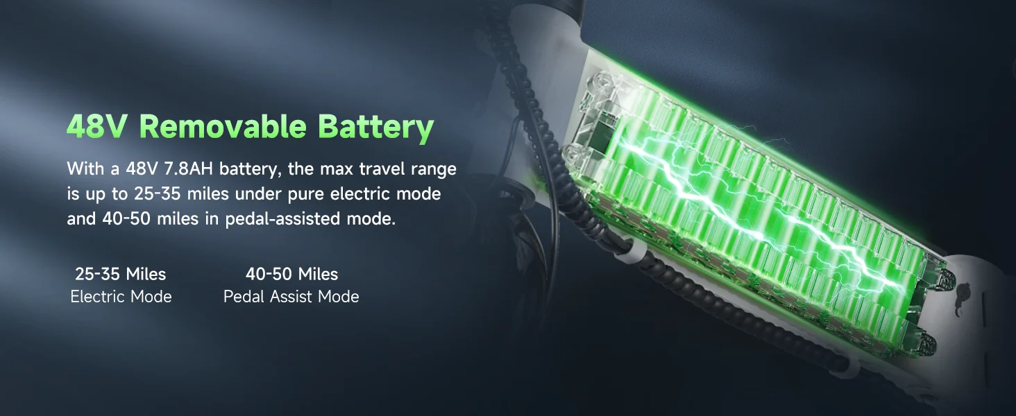 48V Removable Battery