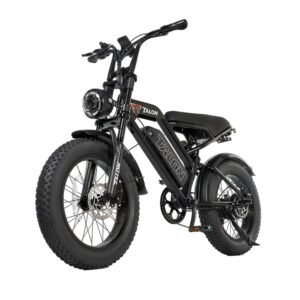 TALON T757 Fat Tire E-Bike