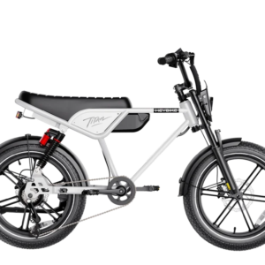Heybike Titan 48V 15Ah/13Ah 1500W Electric Bike
