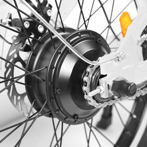 Rear Hub Motor