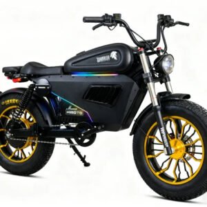 SoverSky Black Warrior Pro 60V/45Ah 3000W Electric Bike