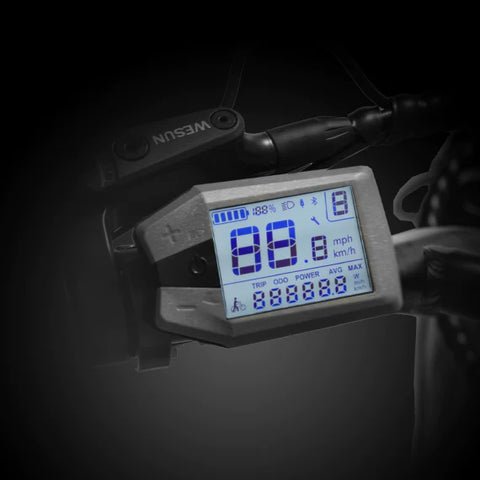 Multifunctional LCD Display
