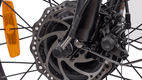 Dual Disc Brake