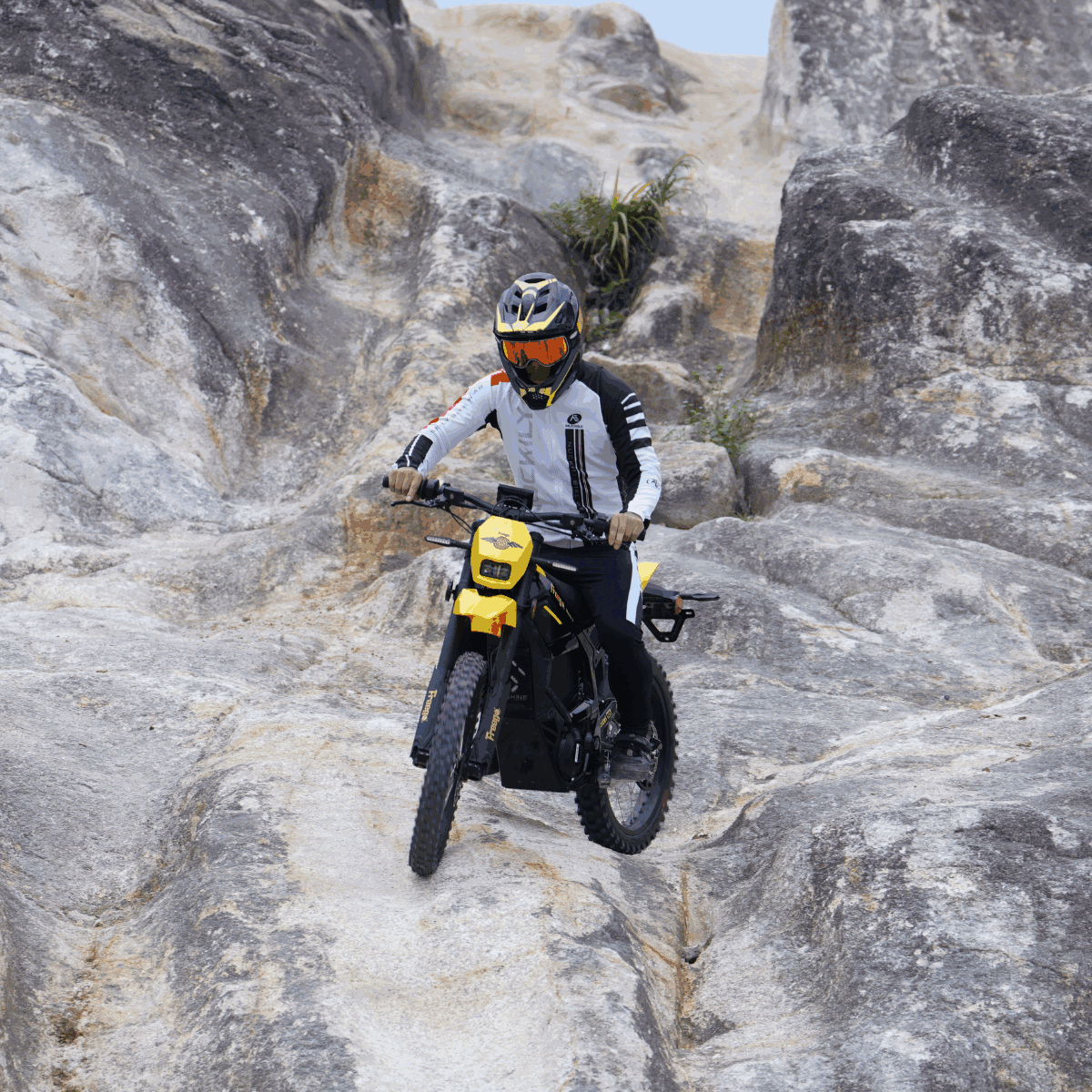 Freego Nova 5 Mid-Drive Off-Road Electric Dirt Bike - Image 6