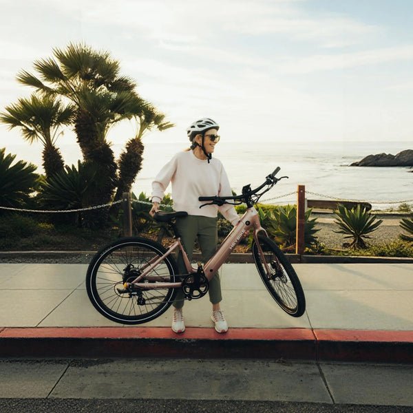 Heybike Venus - Frame