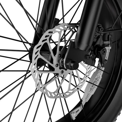Hiboy EX6F Brake