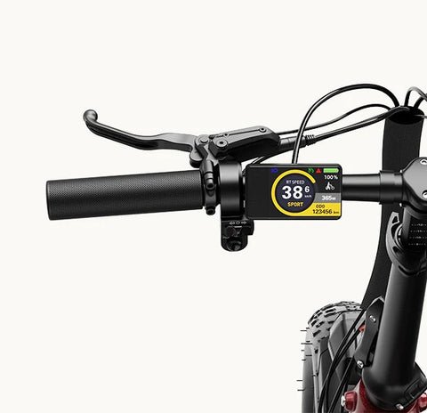 Heybike Ranger 3.0 Pro - Display