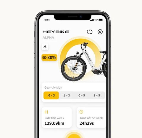 Heybike Ranger 3.0 Pro - App