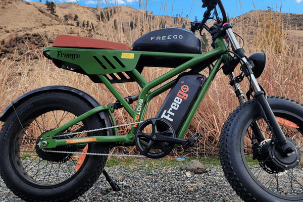 Freego Flash F3 Pro Max - Motor